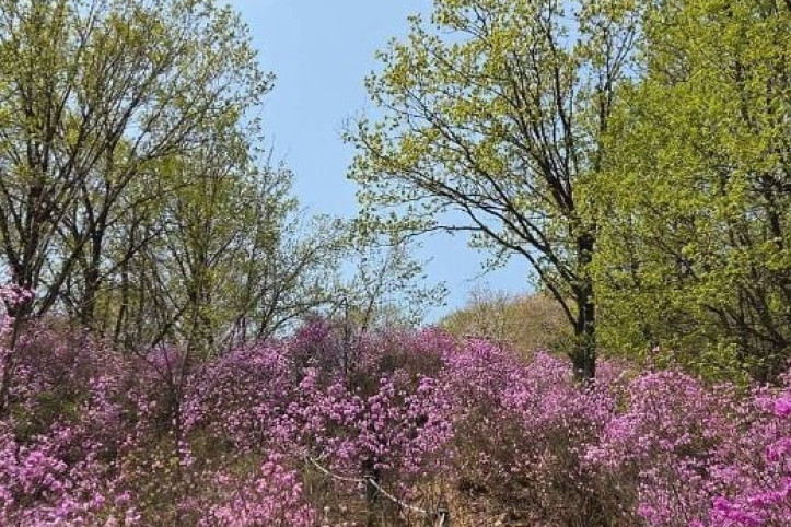 청계산 여행 추천 - 메고지고