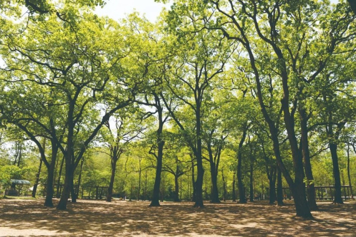 옥화9경 여행 추천 - 메고지고