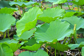 진천 산수리와 삼용리 요지 여행 추천 - 메고지고