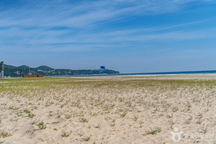 옥계해변 여행 추천 - 메고지고