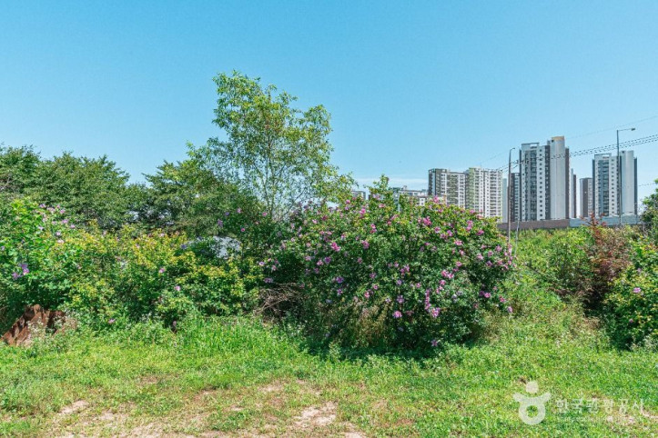 무궁화동산 여행 추천 - 메고지고
