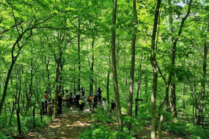 점봉산 곰배령 여행 추천 - 메고지고