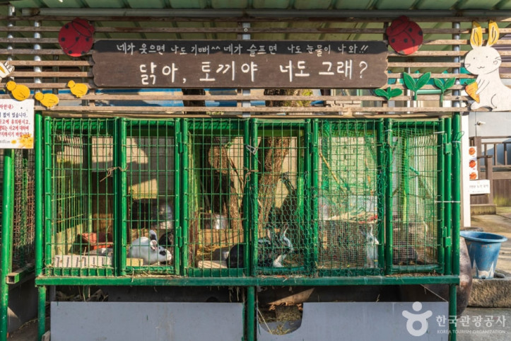 맘맘스 여행 추천 - 메고지고