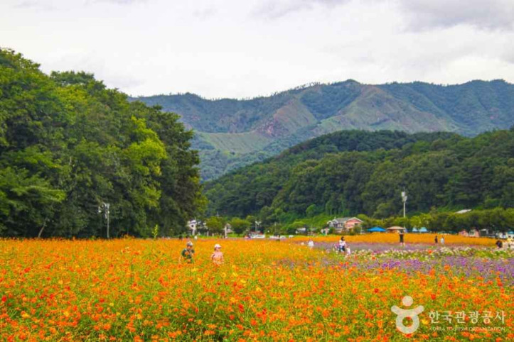 상림공원 여행 추천 - 메고지고