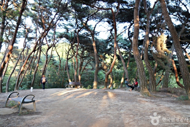 배산체육공원 여행 추천 - 메고지고