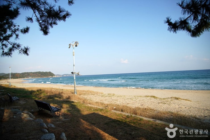 동산포해변 여행 추천 - 메고지고