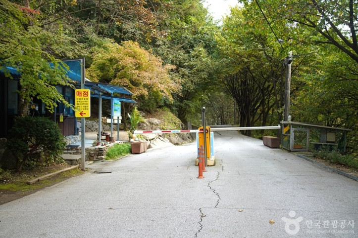 치악산자연휴양림 여행 추천 - 메고지고