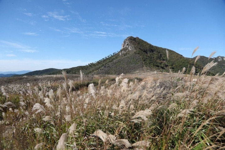 황매산(산청) 여행 추천 - 메고지고