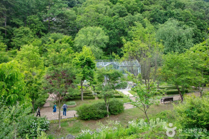 제이드가든 여행 추천 - 메고지고
