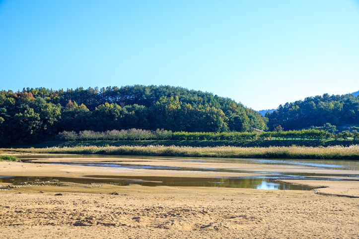 뿅뿅다리 여행 추천 - 메고지고