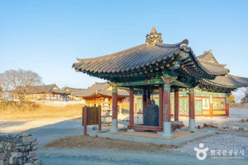 천관산동백생태숲 여행 추천 - 메고지고