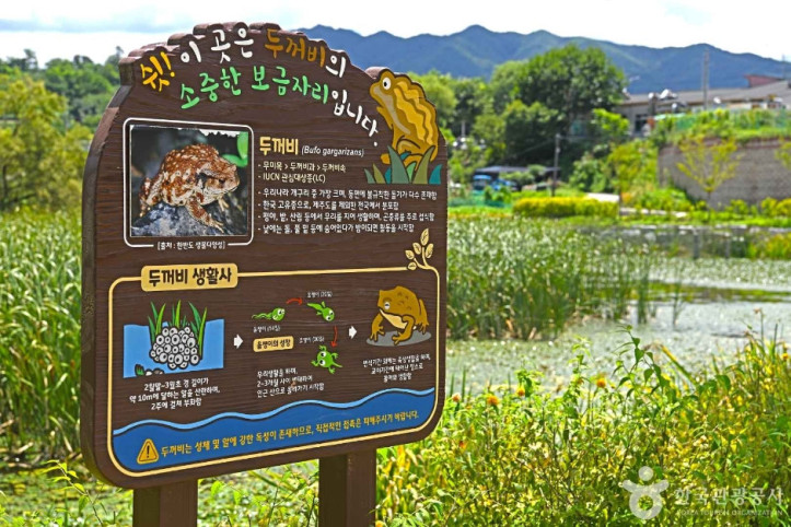 금곡소류지 여행 추천 - 메고지고