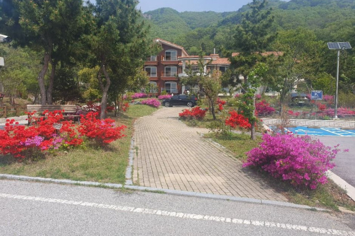 변산자연휴양림 여행 추천 - 메고지고
