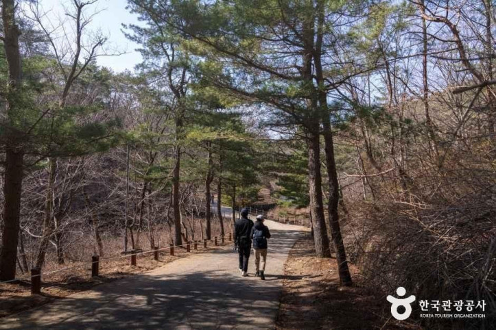 안양수목원 여행 추천 - 메고지고