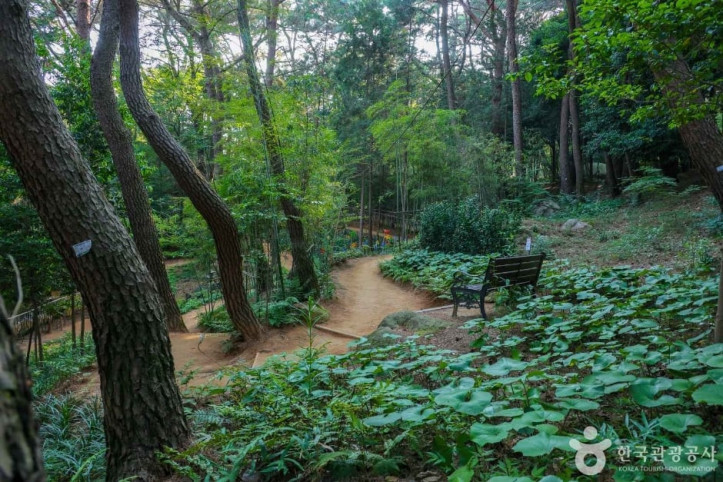 금강공원 여행 추천 - 메고지고