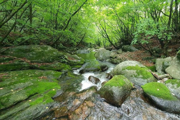 석룡산 여행 추천 - 메고지고