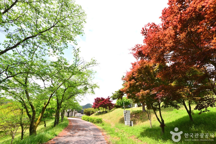 장성호 문화예술공원 여행 추천 - 메고지고