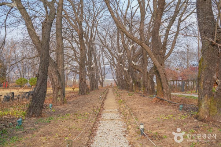 파머스가든봄 여행 추천 - 메고지고