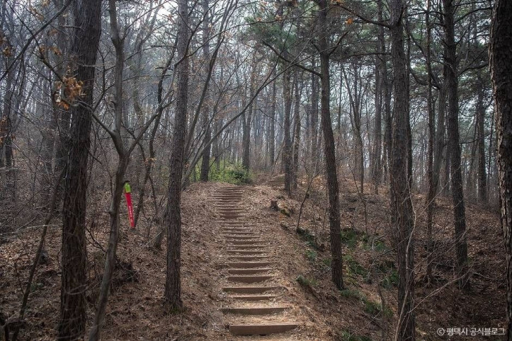 마안산 여행 추천 - 메고지고
