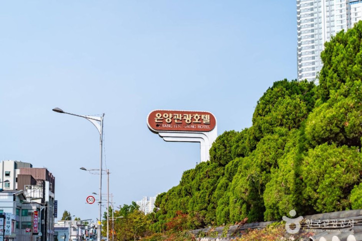 온양온천지구 여행 추천 - 메고지고
