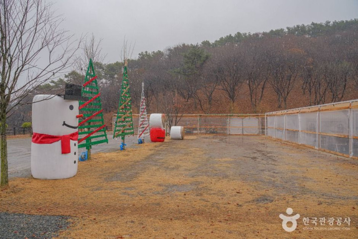 헤이리농원 여행 추천 - 메고지고