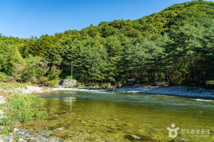 진동계곡 여행 추천 - 메고지고