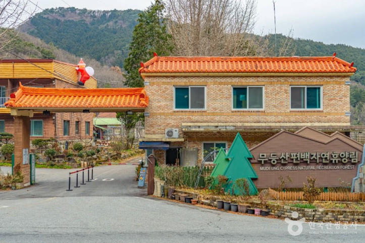 무등산편백자연휴양림 여행 추천 - 메고지고