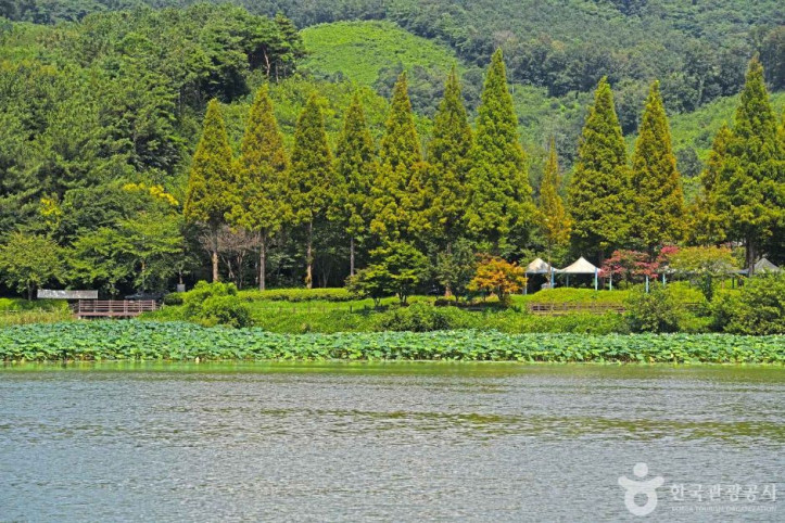 금마저수지 여행 추천 - 메고지고