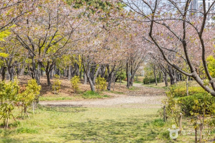 명지동근린공원 여행 추천 - 메고지고