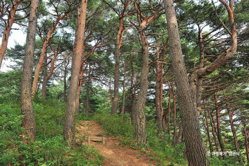 응봉 여행 추천 - 메고지고
