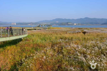 산들강웅포마을 여행 추천 - 메고지고
