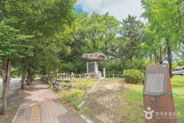 대구부수성비 여행 추천 - 메고지고