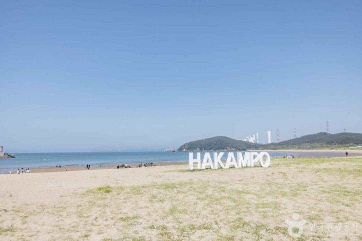 학암포해수욕장 여행 추천 - 메고지고