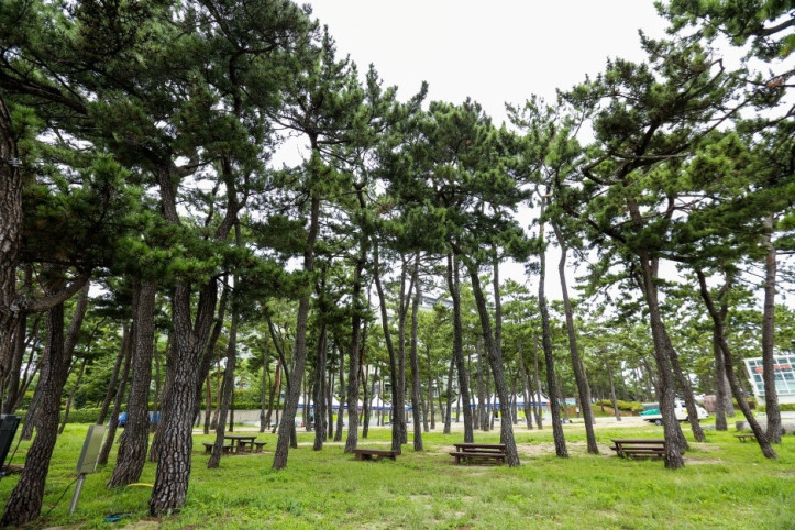 경포해수욕장 여행 추천 - 메고지고