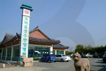 경주 오릉 여행 추천 - 메고지고
