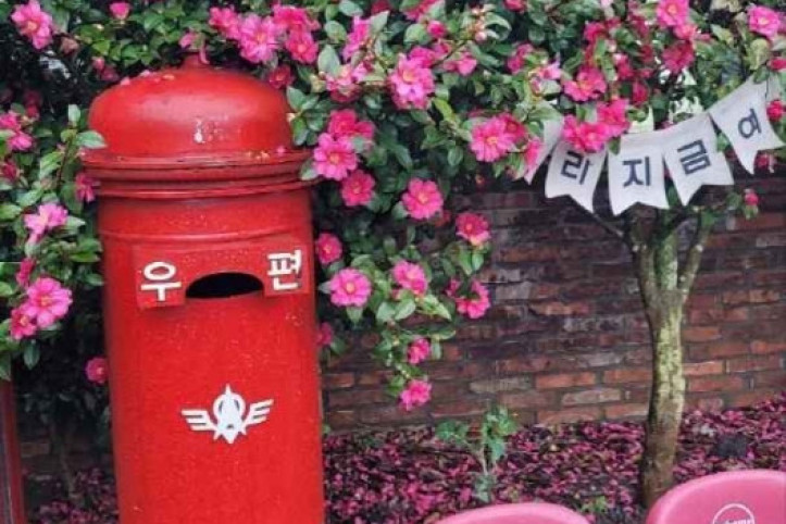 나무와열매 체험농장 여행 추천 - 메고지고