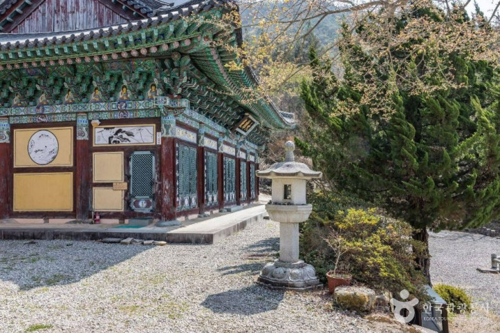 금둔사 여행 추천 - 메고지고