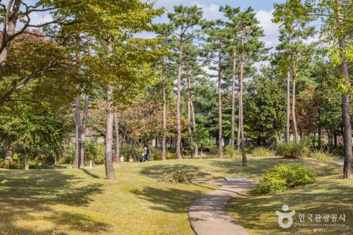 서울창포원 여행 추천 - 메고지고