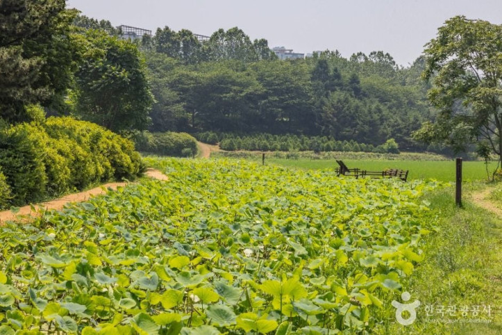 연희자연마당 여행 추천 - 메고지고