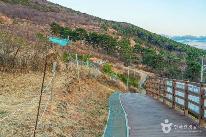 [부산 갈맷길] 5코스 여행 추천 - 메고지고