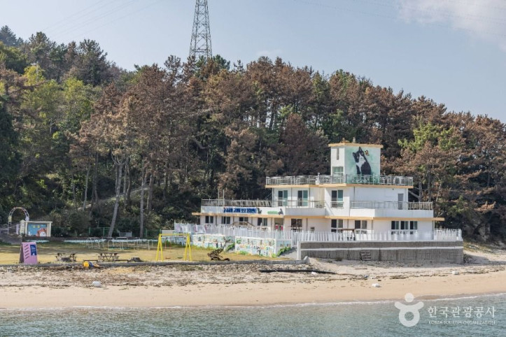 용호도 여행 추천 - 메고지고