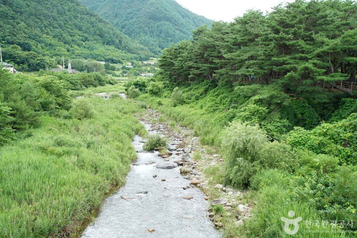 정선 가리왕산마을 여행 추천 - 메고지고