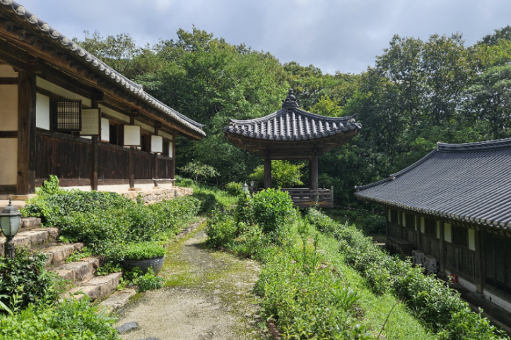순천전통야생차체험관 여행 추천 - 메고지고