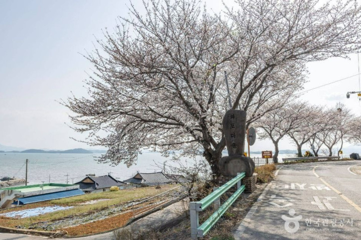 화포해변 여행 추천 - 메고지고