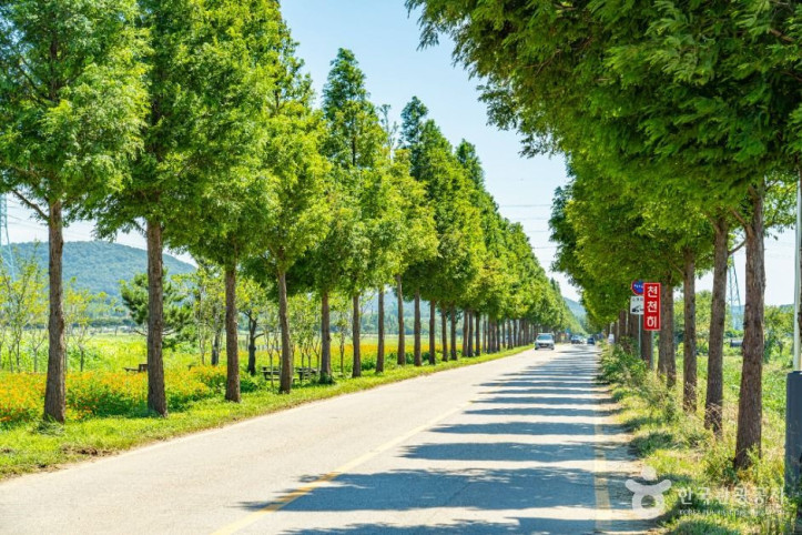 대부바다향기테마파크 여행 추천 - 메고지고