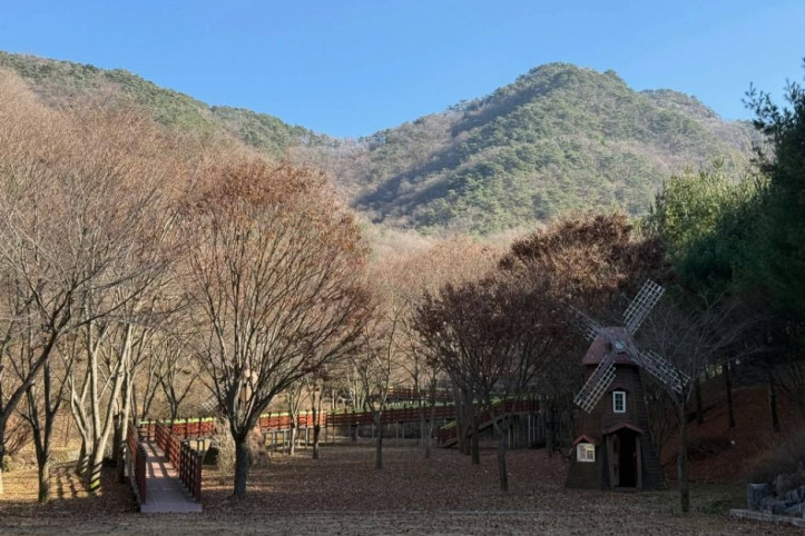 충북알프스자연휴양림 여행 추천 - 메고지고