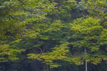 함양향교 여행 추천 - 메고지고