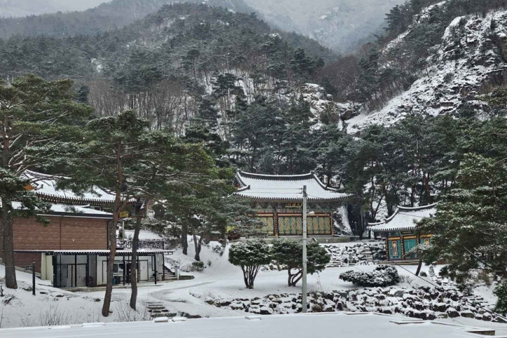 개덕사 여행 추천 - 메고지고
