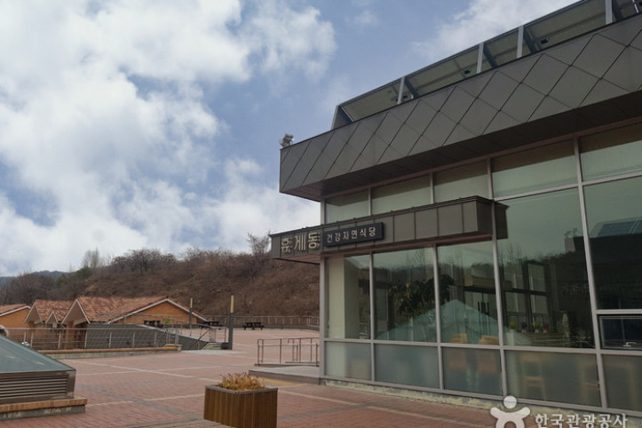 동해무릉건강숲 여행 추천 - 메고지고