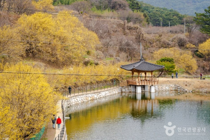 현천마을 여행 추천 - 메고지고